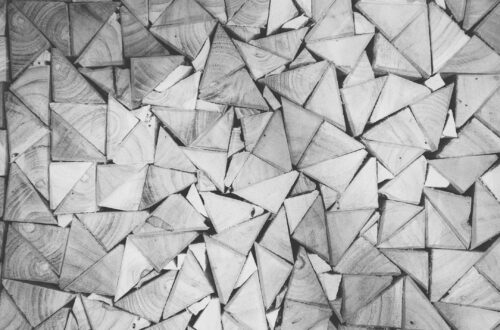 what REALLY keeps me from writing is... Alice Perle journal notes