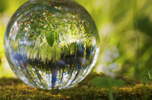 The discomfort in the cycles of death and rebirth