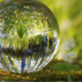 The discomfort in the cycles of death and rebirth