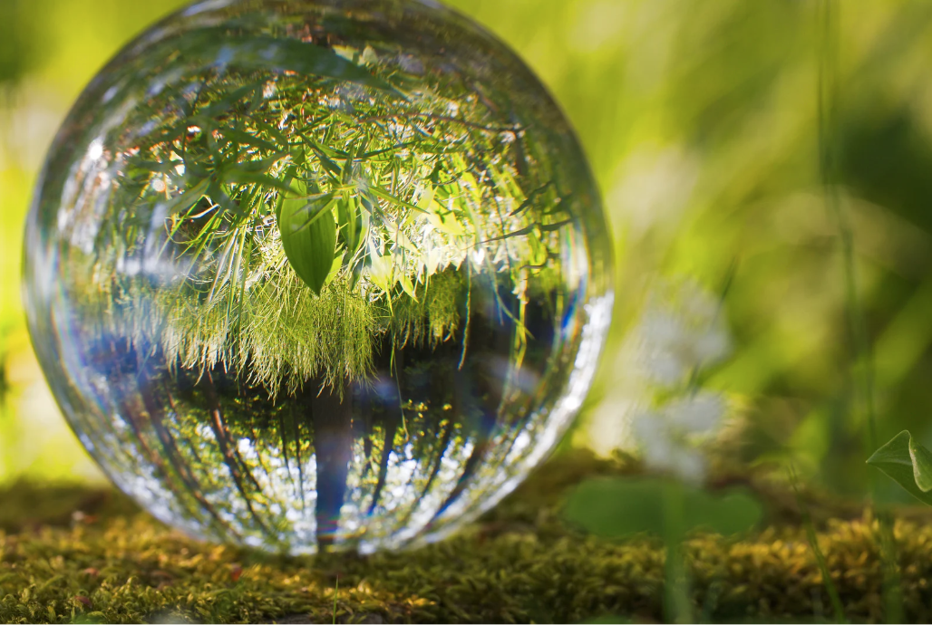 The discomfort in the cycles of death and rebirth