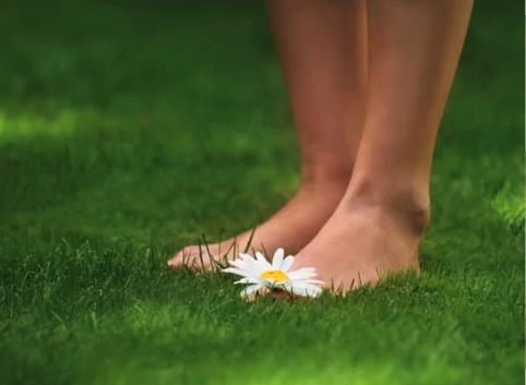 I stopped running Alice Perle blog