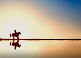 A Horse With No Name
